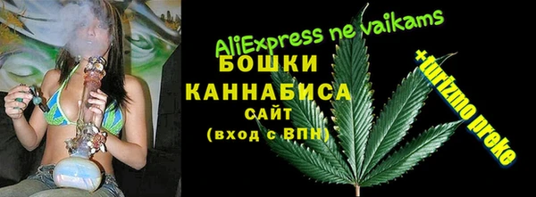 молекула духа Вязники